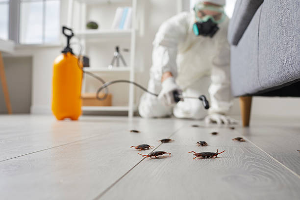 Trusted Termite Control service in Belle Chasse, LA - Nex Pest Control