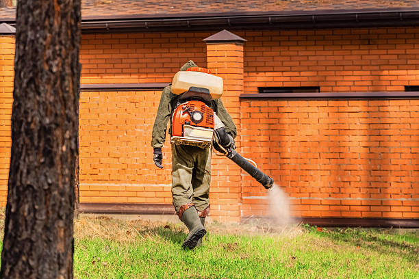 Trusted Emergency Pest Control service in Belle Chasse, LA - Nex Pest Control